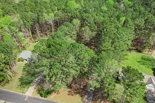 65 Posey Woods Dr, Newnan, GA 30265 - Photo 39