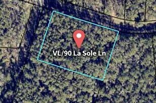 Vl/90 La Sole Ln, Waverly, GA 31565 - Photo 1
