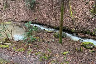 1022 Coweeta Gap Rd, Otto,  28763 - Photo 39