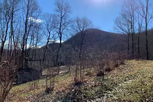 1022 Coweeta Gap Rd, Otto,  28763 - Photo 41