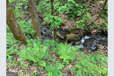 1022 Coweeta Gap Road, Otto,  28763 - Photo 31