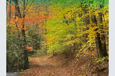 1022 Coweeta Gap Road, Otto,  28763 - Photo 33