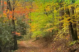 1022 Coweeta Gap Rd, Otto,  28763 - Photo 33