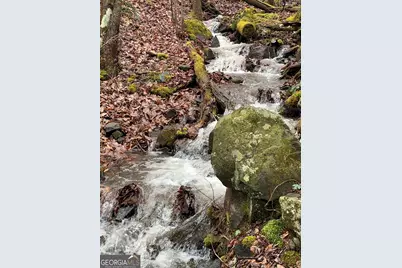 1022 Coweeta Gap Road, Otto,  28763 - Photo 25