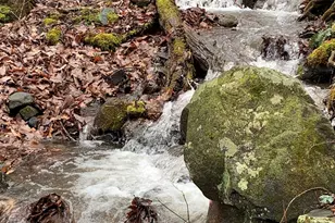 1022 Coweeta Gap Rd, Otto,  28763 - Photo 25