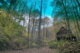 1022 Coweeta Gap Rd, Otto,  28763 - Photo 45