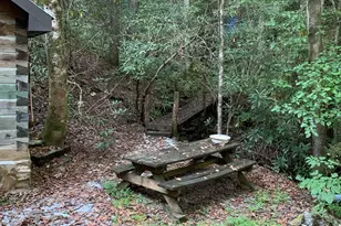 1022 Coweeta Gap Rd, Otto,  28763 - Photo 43