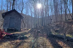 1022 Coweeta Gap Rd, Otto,  28763 - Photo 27