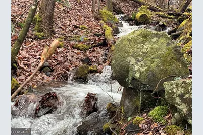 1022 Coweeta Gap Road, Otto,  28763 - Photo 29