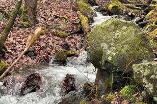 1022 Coweeta Gap Rd, Otto,  28763 - Photo 29