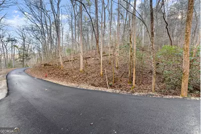 0 River View Lot 12 Trail W, Dahlonega, GA 30533 - Photo 5