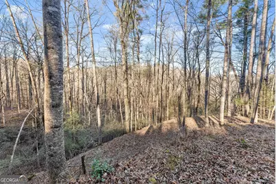 0 River View Lot 12 Trail W, Dahlonega, GA 30533 - Photo 19