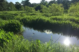 429 Frank Kelley Rd, Canon, GA 30520 - Photo 35