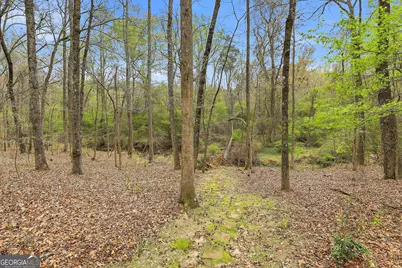 255 Stoneridge Way, Fayetteville, GA 30215 - Photo 45