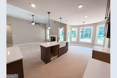 41 Commanche Circle #LOT 55, Williamson, GA 30292 - Photo 5