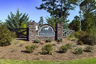 65 Commanche Cir, Williamson, GA 30292 - Photo 17