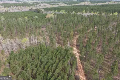 205+/- Woodard Road, Greenville, GA 30222 - Photo 3