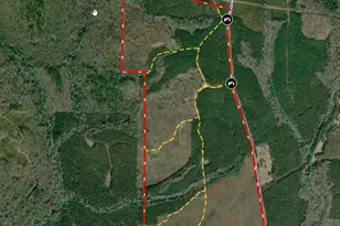 205+/- Woodard Rd, Greenville, GA 30222 - Photo 1