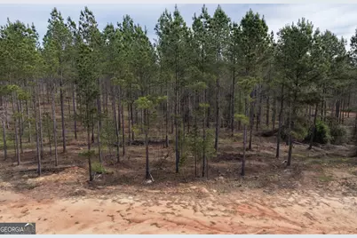 205+/- Woodard Road, Greenville, GA 30222 - Photo 9