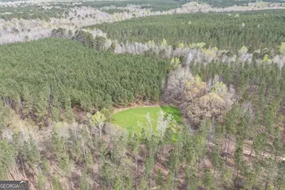 205+/- Woodard Road, Greenville, GA 30222 - Photo 11