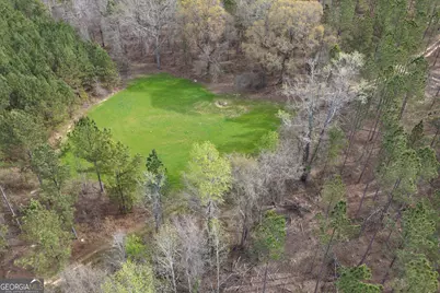 205+/- Woodard Road, Greenville, GA 30222 - Photo 5