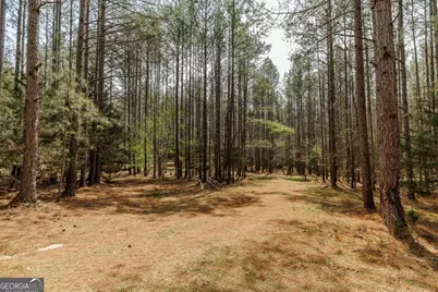 2970 Davids Home Church Road, Comer, GA 30629 - Photo 51