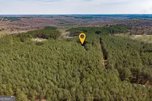 2970 Davids Home Church Rd, Comer, GA 30629 - Photo 57