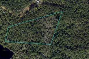 Parcel #1 Brio Ln, Brunswick, GA 31523 - Photo 1