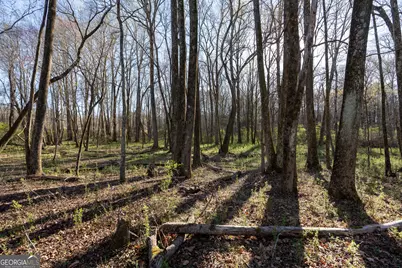 40 Meadow Trail, Social Circle, GA 30025 - Photo 69