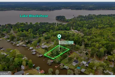 728 Cork Ferry Road, Cordele, GA 31015 - Photo 1