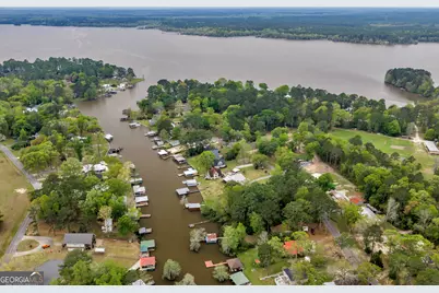 728 Cork Ferry Road, Cordele, GA 31015 - Photo 3