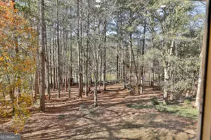 190 Willow Lake Ln, Sharpsburg, GA 30277 - Photo 37