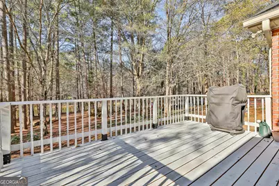 190 Willow Lake Lane, Sharpsburg, GA 30277 - Photo 43