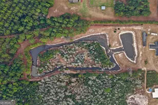 1323 Starling Rd, Pembroke, GA 31321 - Photo 41