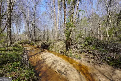 795 Silver Dollar Road, Milner, GA 30257 - Photo 59