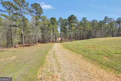 795 Silver Dollar Road, Milner, GA 30257 - Photo 63