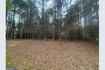 160 Walnut Ridge Way, Covington, GA 30014 - Photo 5