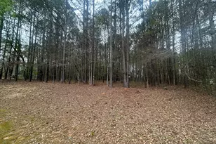 160 Walnut Ridge Way, Covington, GA 30014 - Photo 7