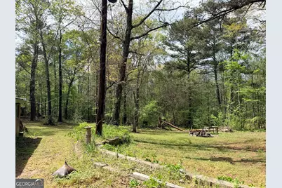 3608 Franklinton Road, Dry Branch, GA 31020 - Photo 15