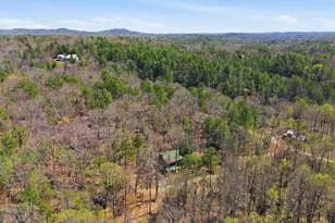 845 Chattahoochee Acres Dr, Cleveland, GA 30528 - Photo 43