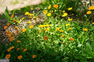 1289 Rainwater Trail, Tiger, GA 30576 - Photo 67