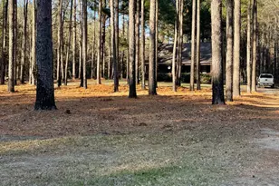 238 Cassie Ree Rd, Statesboro, GA 30458 - Photo 15