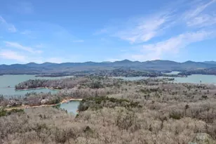 45 Wilderness Trail, Blue Ridge, GA 30513 - Photo 7