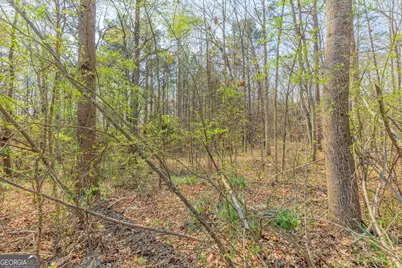 177 W Reed Road, La Fayette, GA 30728 - Photo 29