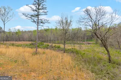 1934 Pleasant Hill Road, Martin, GA 30557 - Photo 31