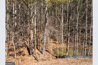 Lot #286 Oak Park Drive, Talking Rock, GA 30175 - Photo 11