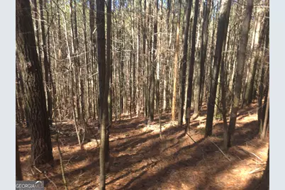 Lot #286 Oak Park Drive, Talking Rock, GA 30175 - Photo 7