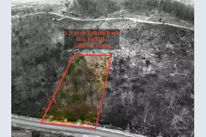 Lot #286 Oak Park Drive, Talking Rock, GA 30175 - Photo 1