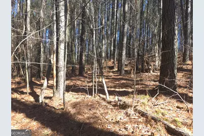 Lot #286 Oak Park Drive, Talking Rock, GA 30175 - Photo 5