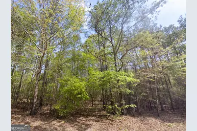 0 Snow Hill Church Road #LOT D-11, Gordon, GA 31031 - Photo 9